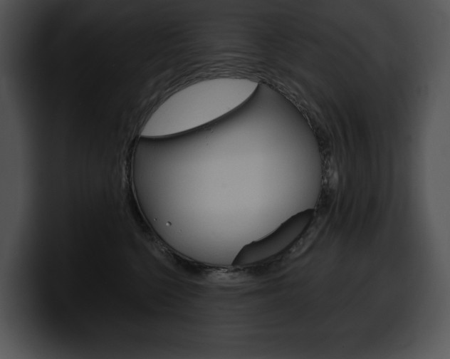 X0000100500568200806130732