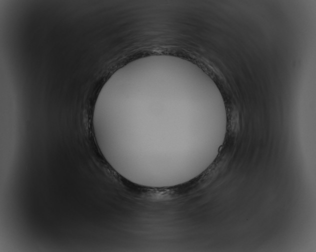 X0000100500569200806130732