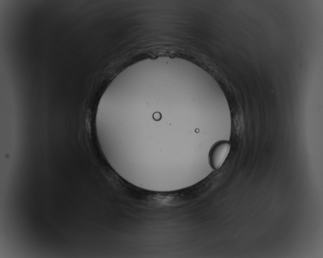 X0000100500570200806130732