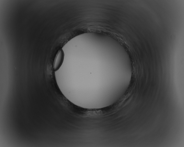 X0000100500571200806130732