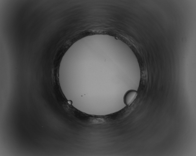 X0000100500572200806130732