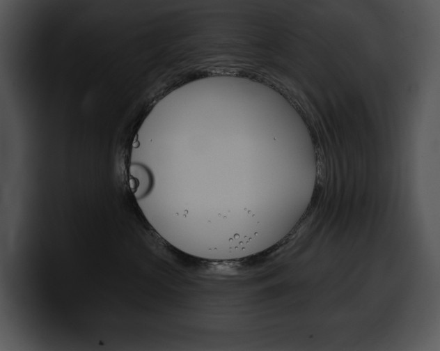 X0000100500573200806130732