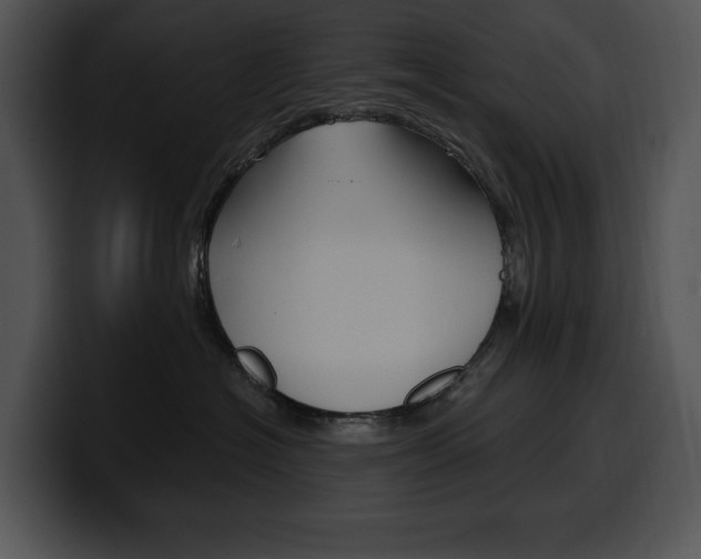 X0000100500574200806130732