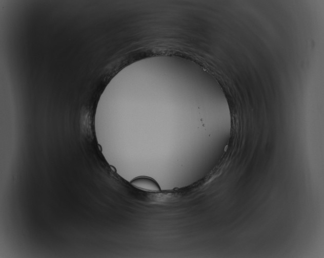 X0000100500575200806130732