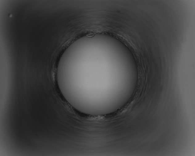 X0000100500576200806130732