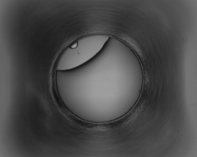 X0000100500578200806130731