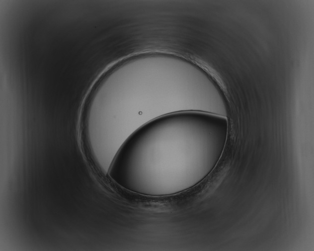 X0000100500580200806130731