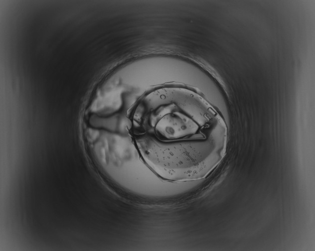 X0000100500581200806130731