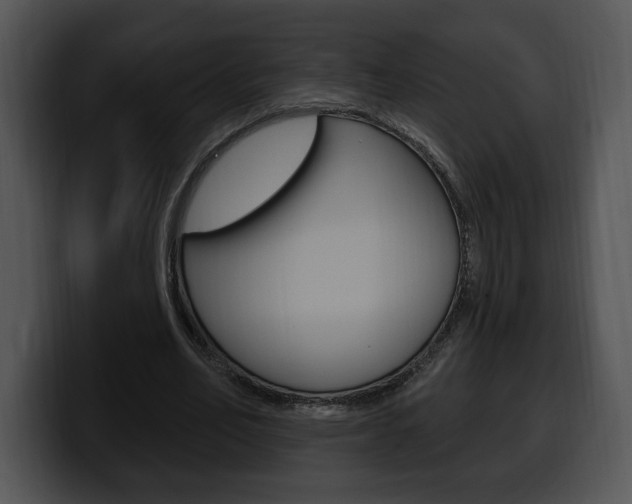 X0000100500582200806130731