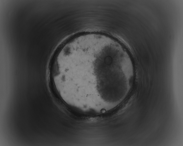 X0000100500584200806130731