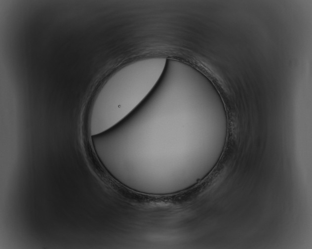 X0000100500586200806130731