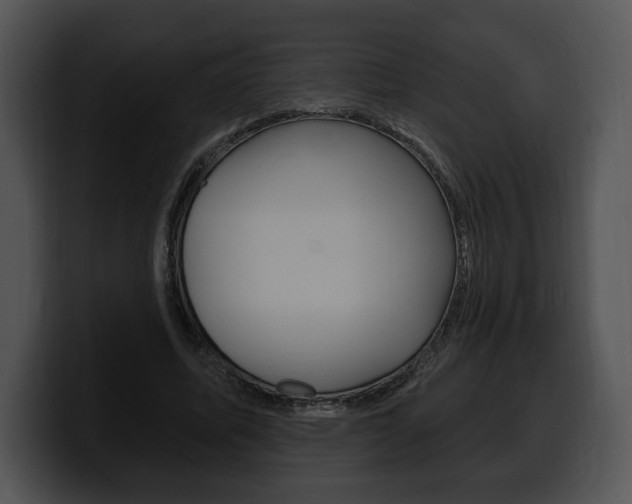 X0000100500587200806130731