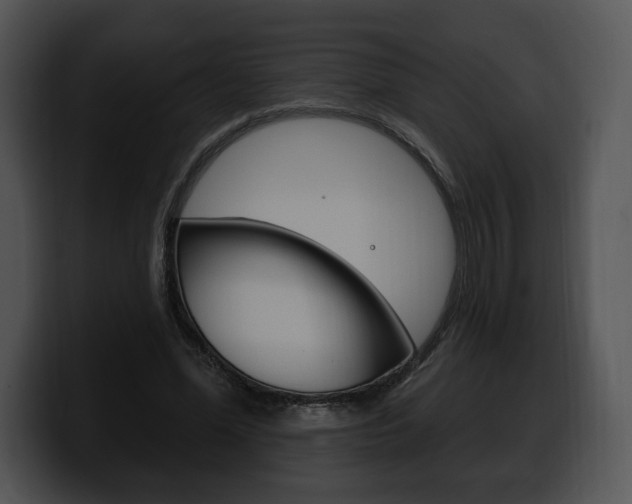 X0000100500588200806130731
