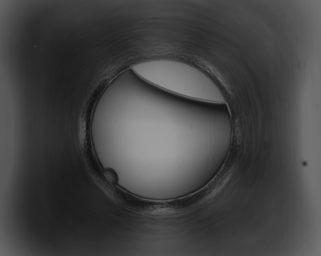 X0000100500589200806130731