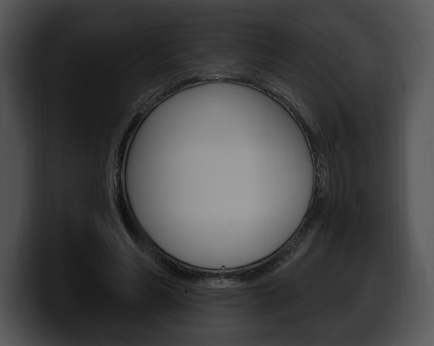 X0000100500590200806130731