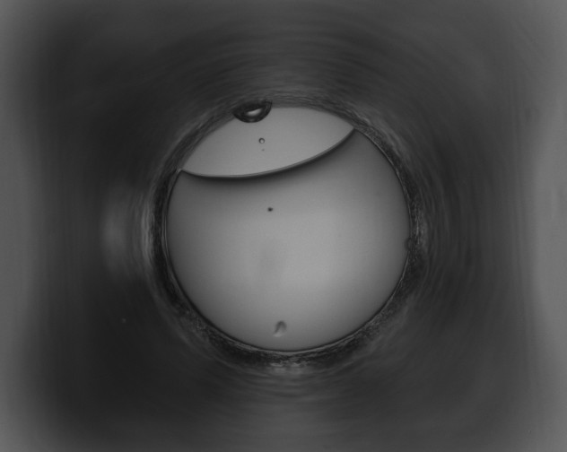 X0000100500591200806130731