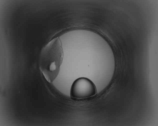 X0000100500592200806130731