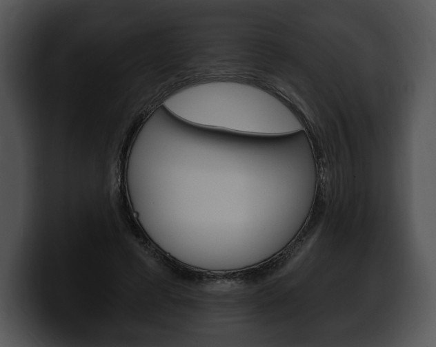 X0000100500593200806130731