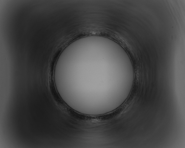 X0000100500594200806130731