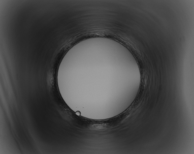 X0000100500595200806130731