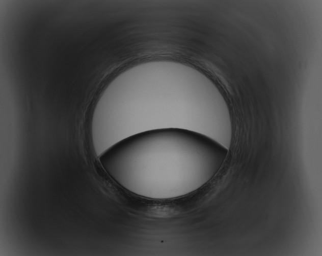 X0000100500596200806130731