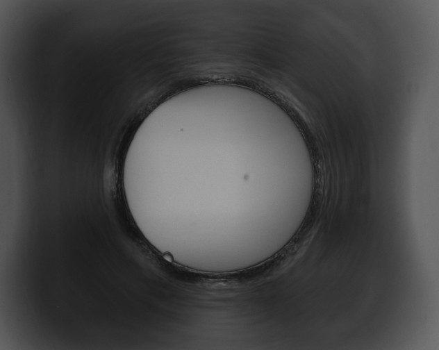 X0000100500597200806130731