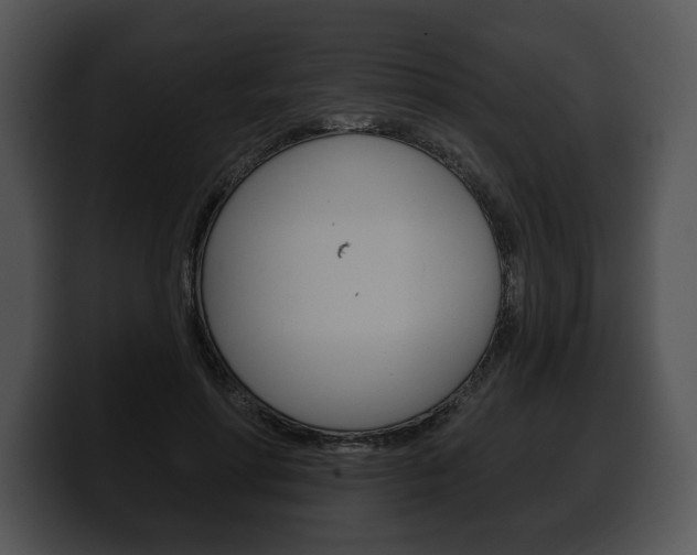 X0000100500598200806130731