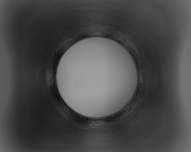 X0000100500599200806130731