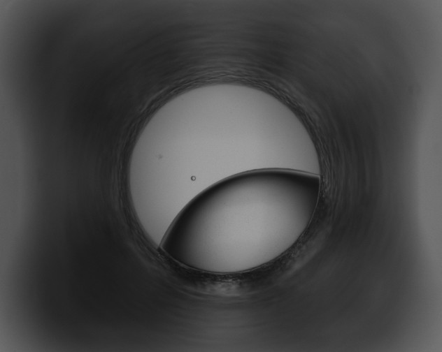 X0000100500600200806130731