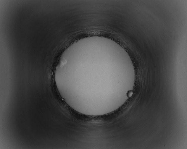 X0000100500601200806130731