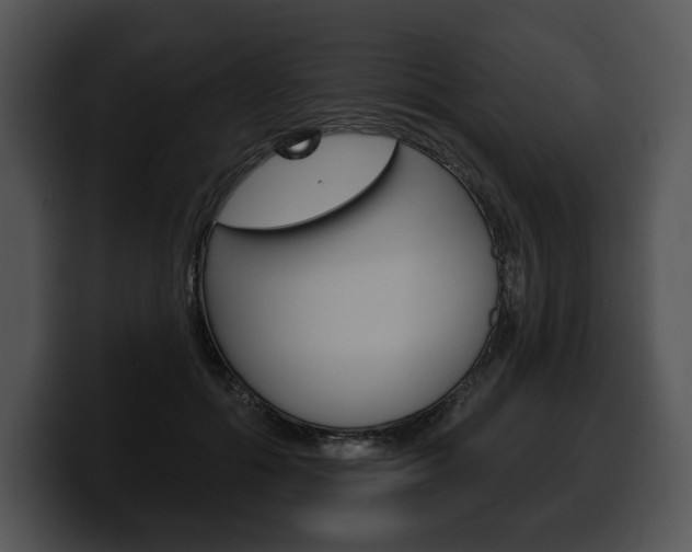 X0000100500602200806130731