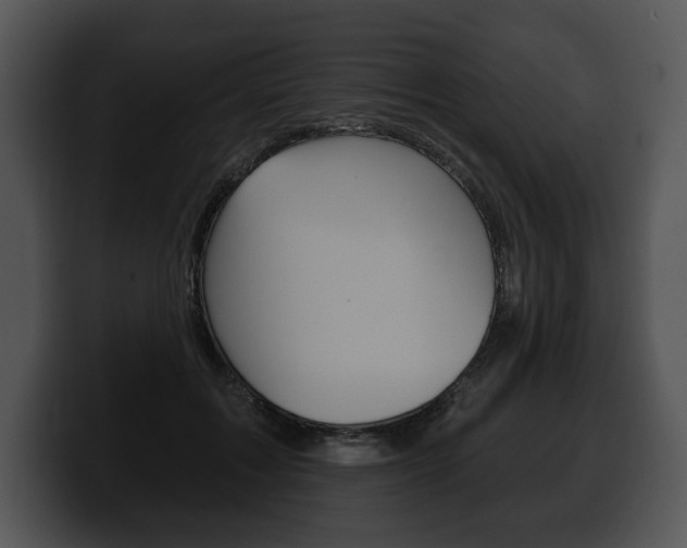 X0000100500603200806130731