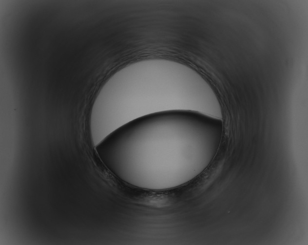 X0000100500604200806130731
