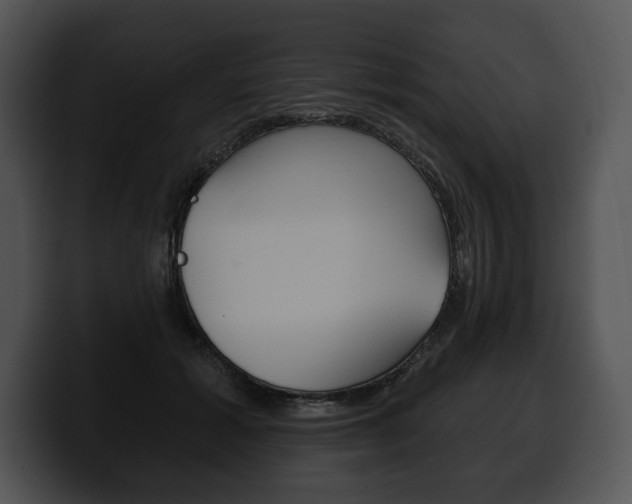 X0000100500605200806130731