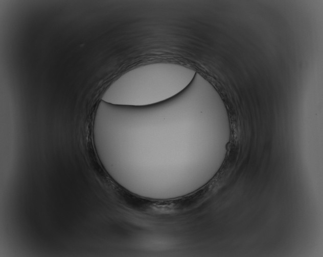 X0000100500606200806130731