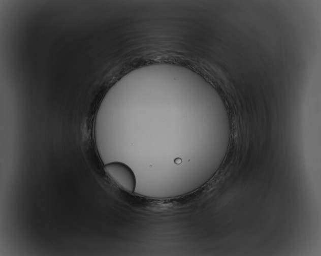 X0000100500607200806130731