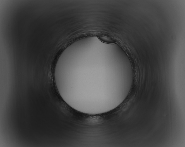 X0000100500609200806130731