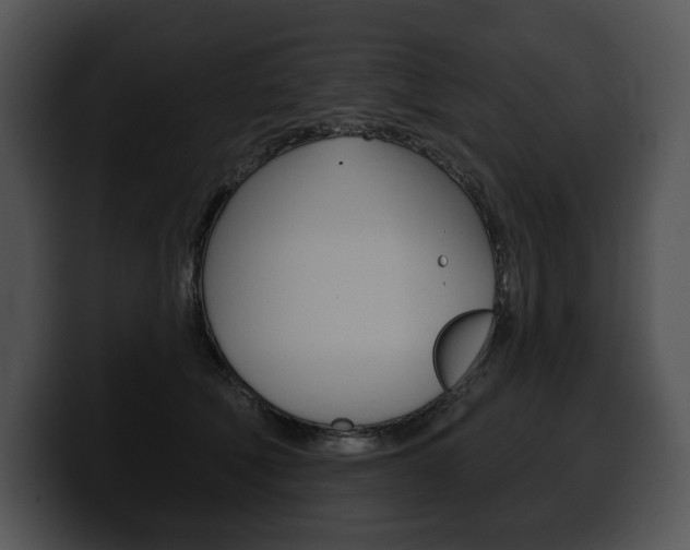 X0000100500610200806130731
