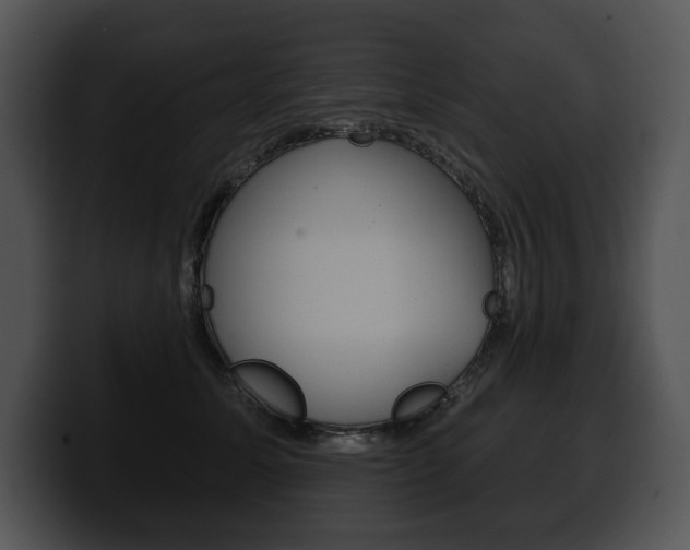 X0000100500611200806130731
