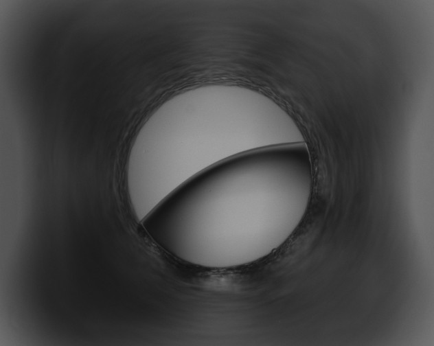 X0000100500612200806130731