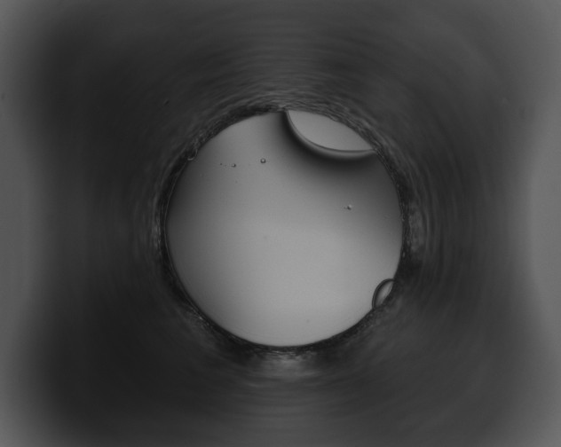 X0000100500613200806130731