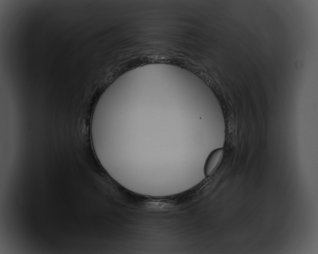 X0000100500614200806130731