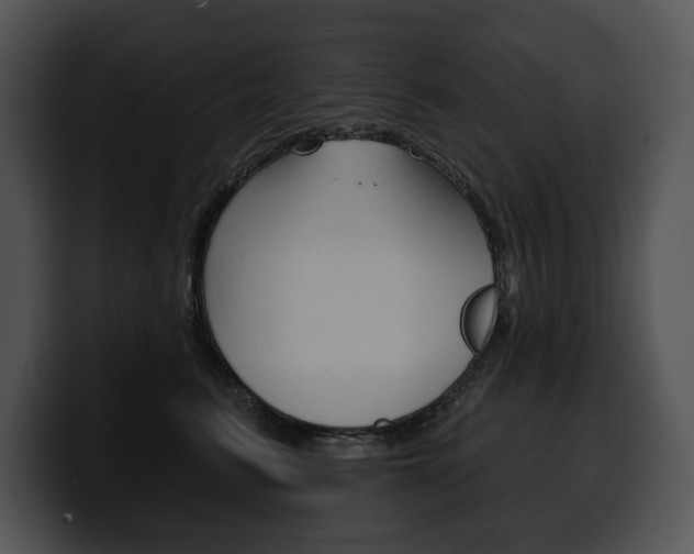 X0000100500615200806130731