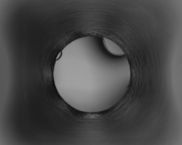 X0000100500617200806130731