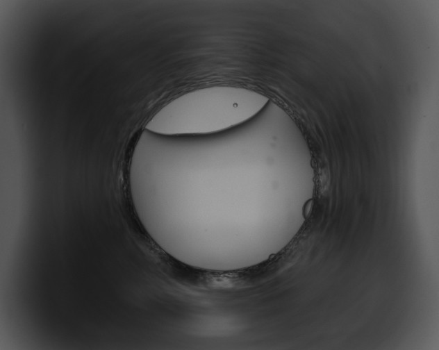 X0000100500618200806130731