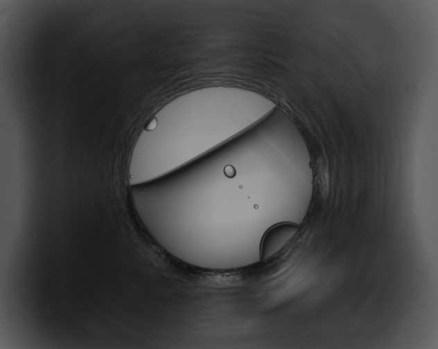 X0000100500619200806130731