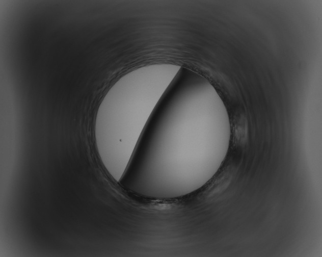 X0000100500620200806130731