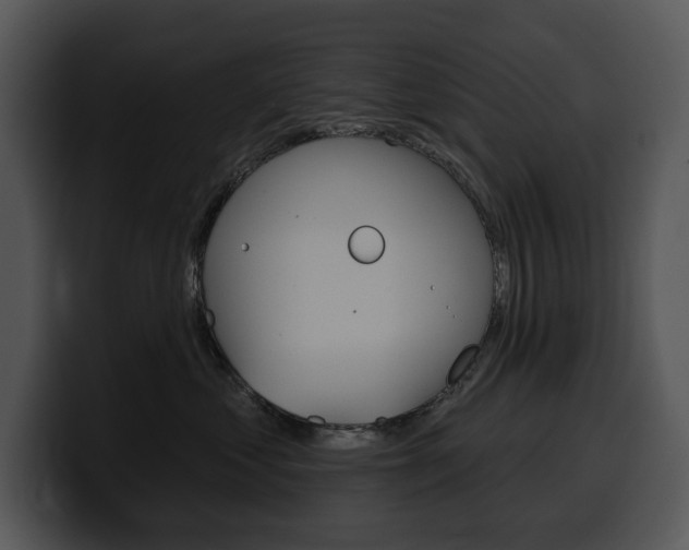 X0000100500621200806130731