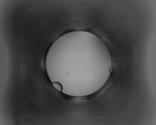 X0000100500622200806130731