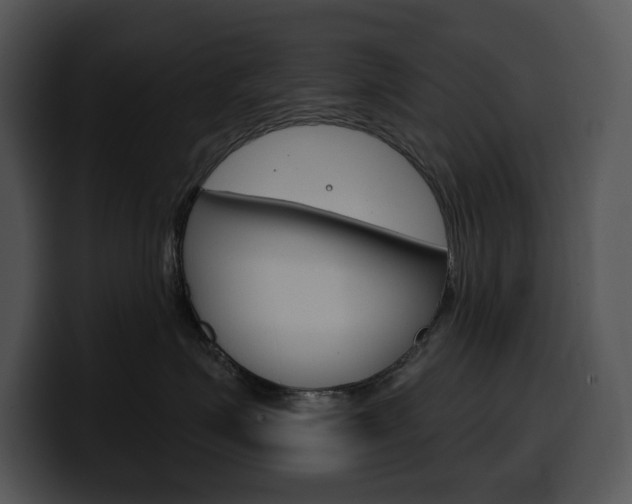 X0000100500623200806130731